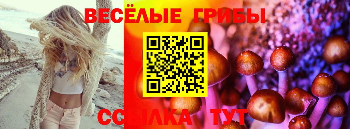 Галлюциногенные грибы мицелий Симферополь